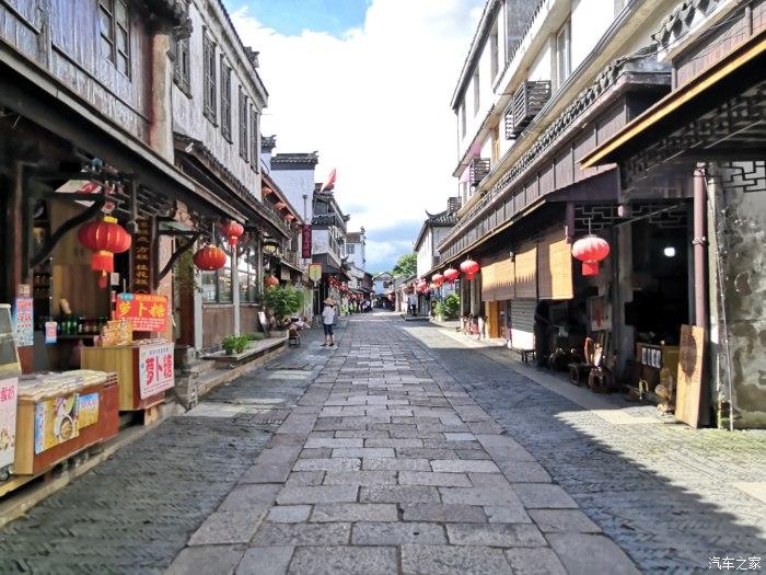 救援鹦鹉